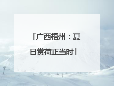 广西梧州：夏日赏荷正当时