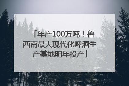年产100万吨！鲁西南最大现代化啤酒生产基地明年投产