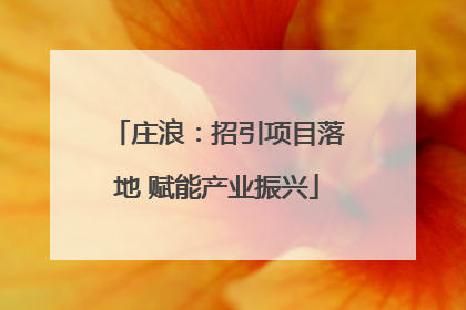 庄浪：招引项目落地 赋能产业振兴