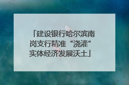 建设银行哈尔滨南岗支行精准“浇灌”实体经济发展沃土