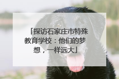 探访石家庄市特殊教育学校：他们的梦想，一样远大