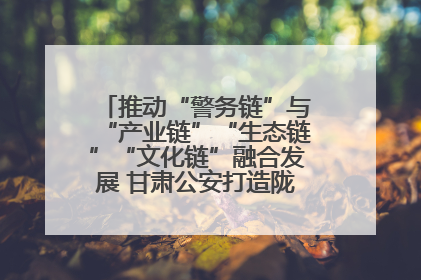 推动“警务链”与“产业链”“生态链”“文化链”融合发展 甘肃公安打造陇原旅游警务品牌