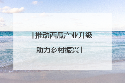 推动西瓜产业升级 助力乡村振兴