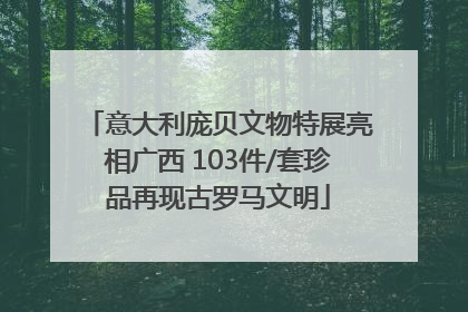 意大利庞贝文物特展亮相广西 103件/套珍品再现古罗马文明