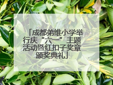 成都弟维小学举行庆“六一”主题活动暨红扣子奖章颁奖典礼