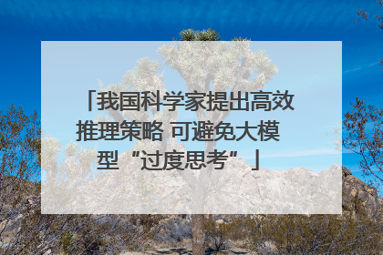 我国科学家提出高效推理策略 可避免大模型“过度思考”