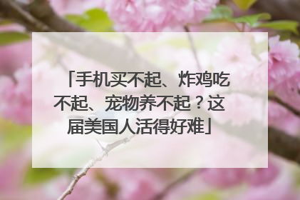 手机买不起、炸鸡吃不起、宠物养不起？这届美国人活得好难