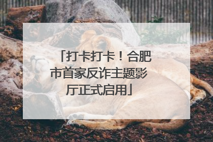打卡打卡！合肥市首家反诈主题影厅正式启用