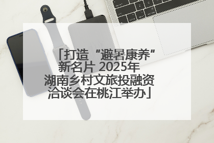 打造“避暑康养”新名片 2025年湖南乡村文旅投融资洽谈会在桃江举办