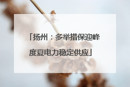 扬州：多举措保迎峰度夏电力稳定供应