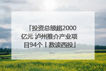 投资总额超2000亿元 泸州推介产业项目94个丨数读西投