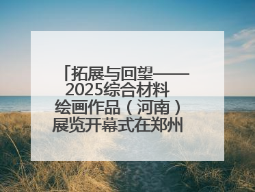 拓展与回望——2025综合材料绘画作品（河南）展览开幕式在郑州美术馆举办