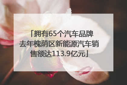 拥有65个汽车品牌 去年槐荫区新能源汽车销售额达113.9亿元