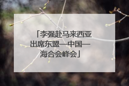 李强赴马来西亚出席东盟—中国—海合会峰会