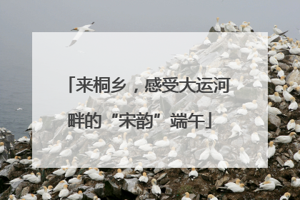 来桐乡，感受大运河畔的“宋韵”端午