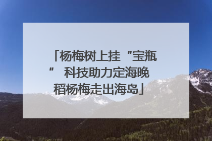 杨梅树上挂“宝瓶” 科技助力定海晚稻杨梅走出海岛