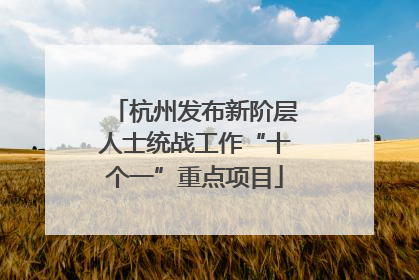 杭州发布新阶层人士统战工作“十个一”重点项目