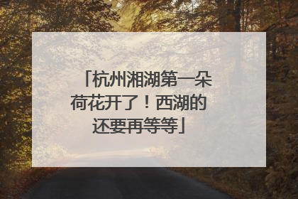 杭州湘湖第一朵荷花开了！西湖的还要再等等