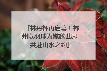 林丹杯再启幕！郴州以羽球为媒邀世界共赴山水之约