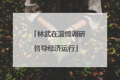 林武在淄博调研督导经济运行
