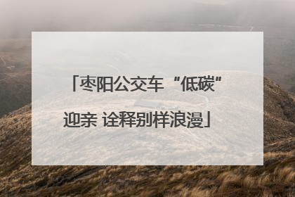 枣阳公交车“低碳”迎亲 诠释别样浪漫