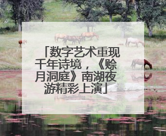 数字艺术重现千年诗境，《赊月洞庭》南湖夜游精彩上演