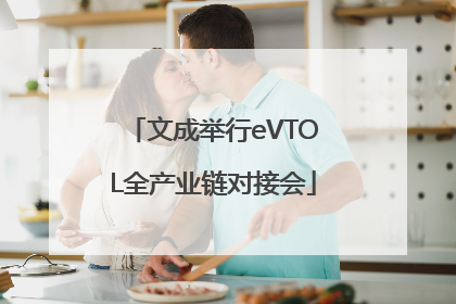 文成举行eVTOL全产业链对接会
