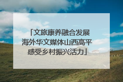 文旅康养融合发展 海外华文媒体山西高平感受乡村振兴活力