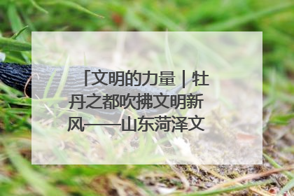 文明的力量｜牡丹之都吹拂文明新风——山东菏泽文明创建一线见闻