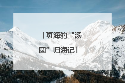 斑海豹“汤圆”归海记