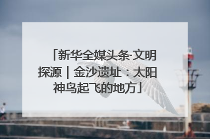 新华全媒头条·文明探源｜金沙遗址：太阳神鸟起飞的地方