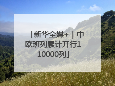 新华全媒+｜中欧班列累计开行110000列