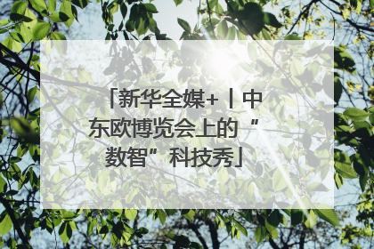 新华全媒+丨中东欧博览会上的“数智”科技秀