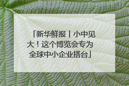 新华鲜报丨小中见大！这个博览会专为全球中小企业搭台