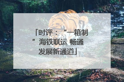 时评：“一箱制”海铁联运 畅通发展新通道