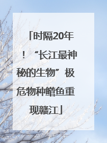 时隔20年！“长江最神秘的生物”极危物种鳤鱼重现赣江
