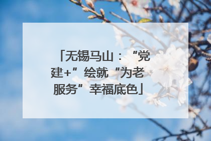 无锡马山：“党建+”绘就“为老服务”幸福底色