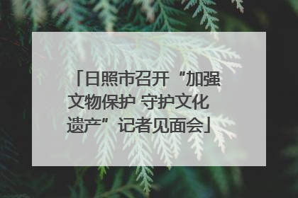 日照市召开“加强文物保护 守护文化遗产”记者见面会