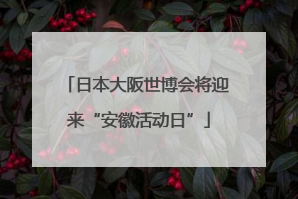 日本大阪世博会将迎来“安徽活动日”