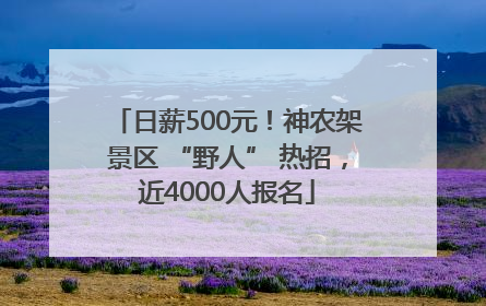 日薪500元！神农架景区 “野人” 热招，近4000人报名