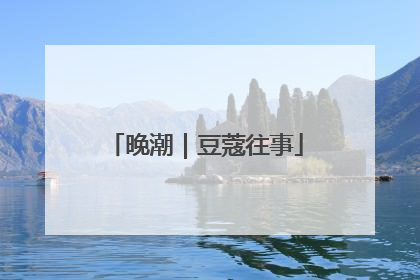 晚潮｜豆蔻往事