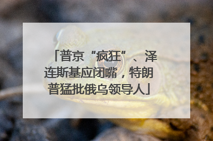 普京“疯狂”、泽连斯基应闭嘴，特朗普猛批俄乌领导人