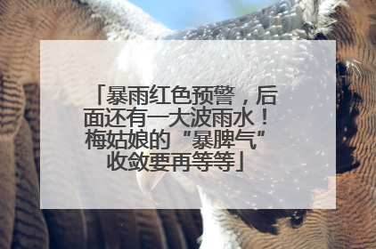 暴雨红色预警，后面还有一大波雨水！梅姑娘的“暴脾气”收敛要再等等