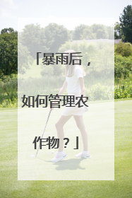 暴雨后，如何管理农作物？