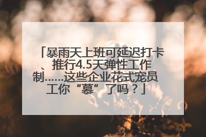 暴雨天上班可延迟打卡、推行4.5天弹性工作制……这些企业花式宠员工你“慕”了吗？