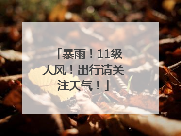 暴雨！11级大风！出行请关注天气！