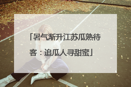 暑气渐升江苏瓜熟待客：追瓜人寻甜蜜