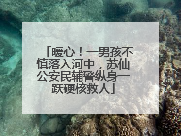 暖心！一男孩不慎落入河中，苏仙公安民辅警纵身一跃硬核救人