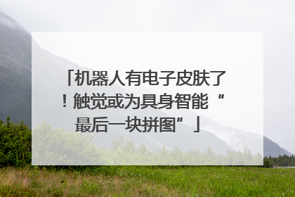 机器人有电子皮肤了！触觉或为具身智能“最后一块拼图”