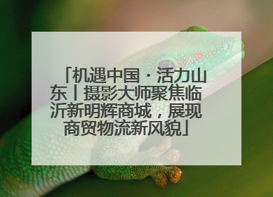 机遇中国・活力山东丨摄影大师聚焦临沂新明辉商城，展现商贸物流新风貌